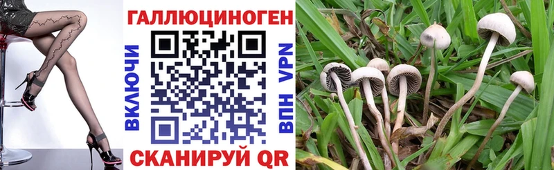 купить  сайты  Радужный  Галлюциногенные грибы ЛСД 